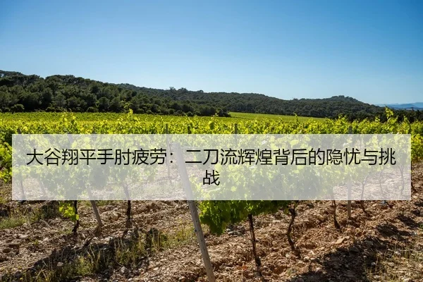 大谷翔平手肘疲劳：二刀流辉煌背后的隐忧与挑战