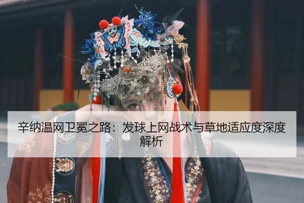 xin-na-wen-wang-wei-mian-zhi-lu-fa-qiu-shang-wang-zhan-shu-yu-cao-di-shi-ying-du-shen-du-jie-xi-3-537.jpg
