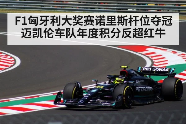 F1匈牙利大奖赛诺里斯杆位夺冠迈凯伦车队年度积分反超红牛